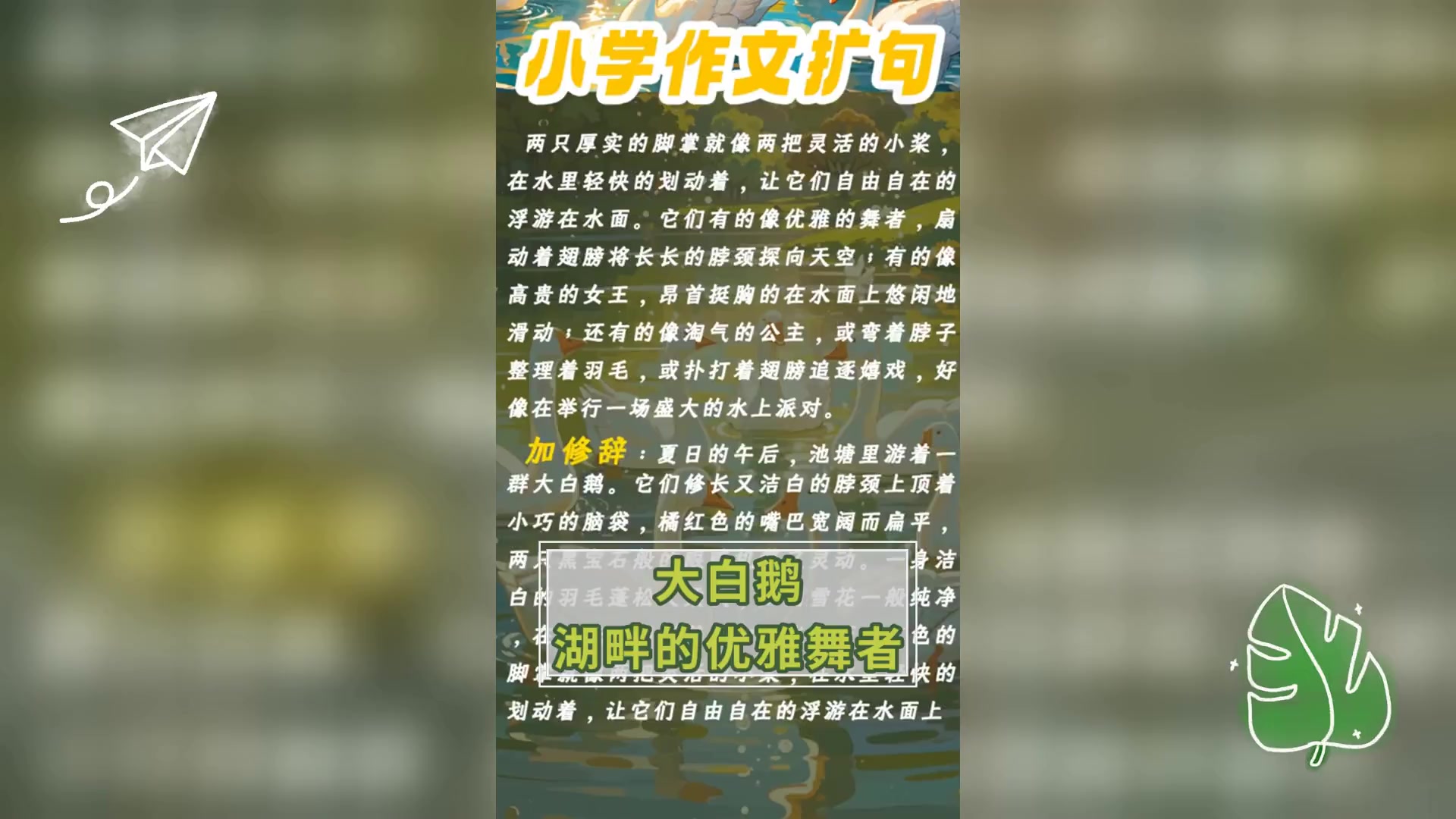 大白鹅,湖畔的优雅舞者