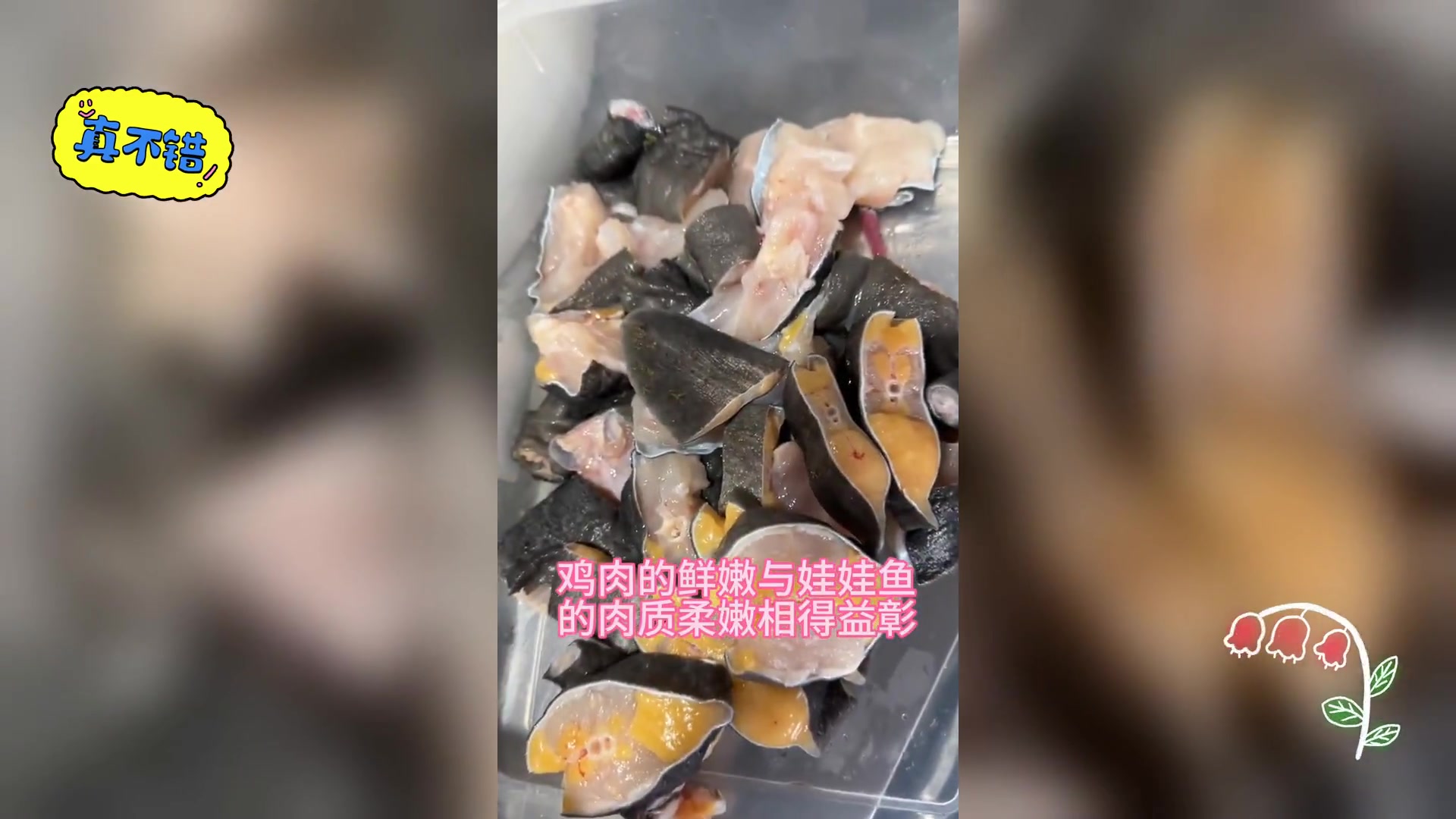 娃娃鱼炖鸡佳肴