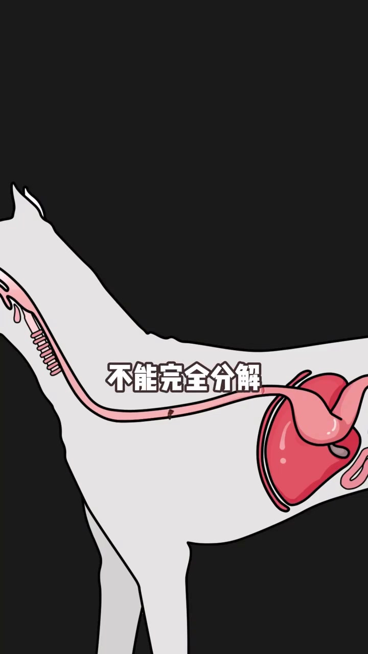 狗狗能吃巧克力吗?
