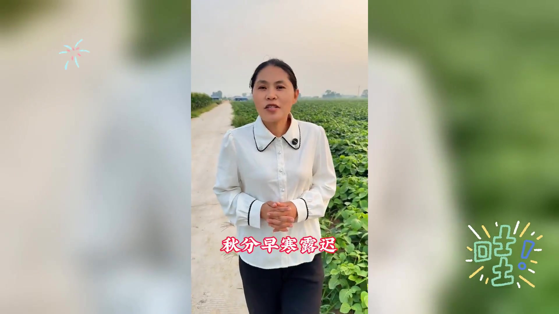 油菜种植最佳时机