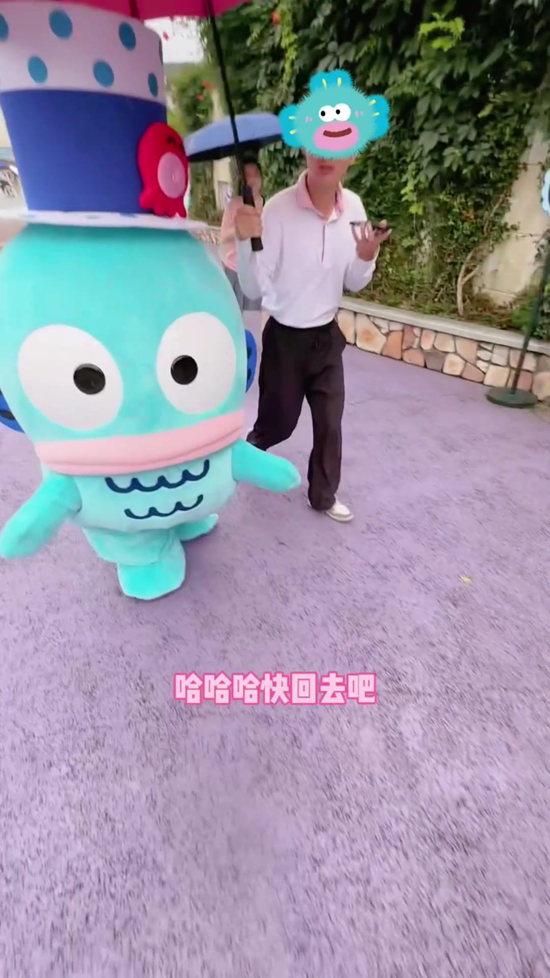 丑鱼汉顿不怕下雨呀!小胳膊游泳超萌的!