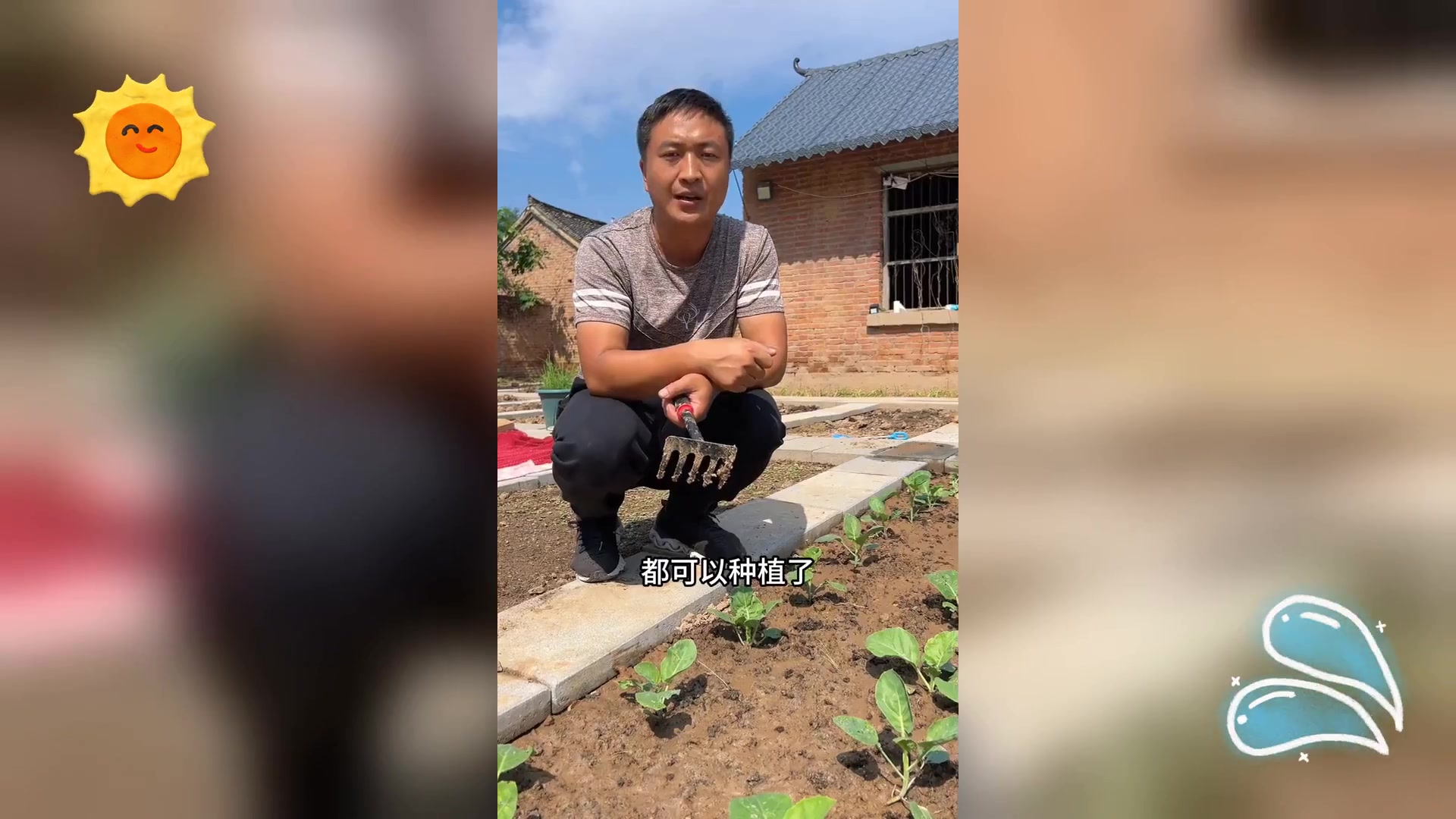 秋分后适宜种植,的蔬菜种类