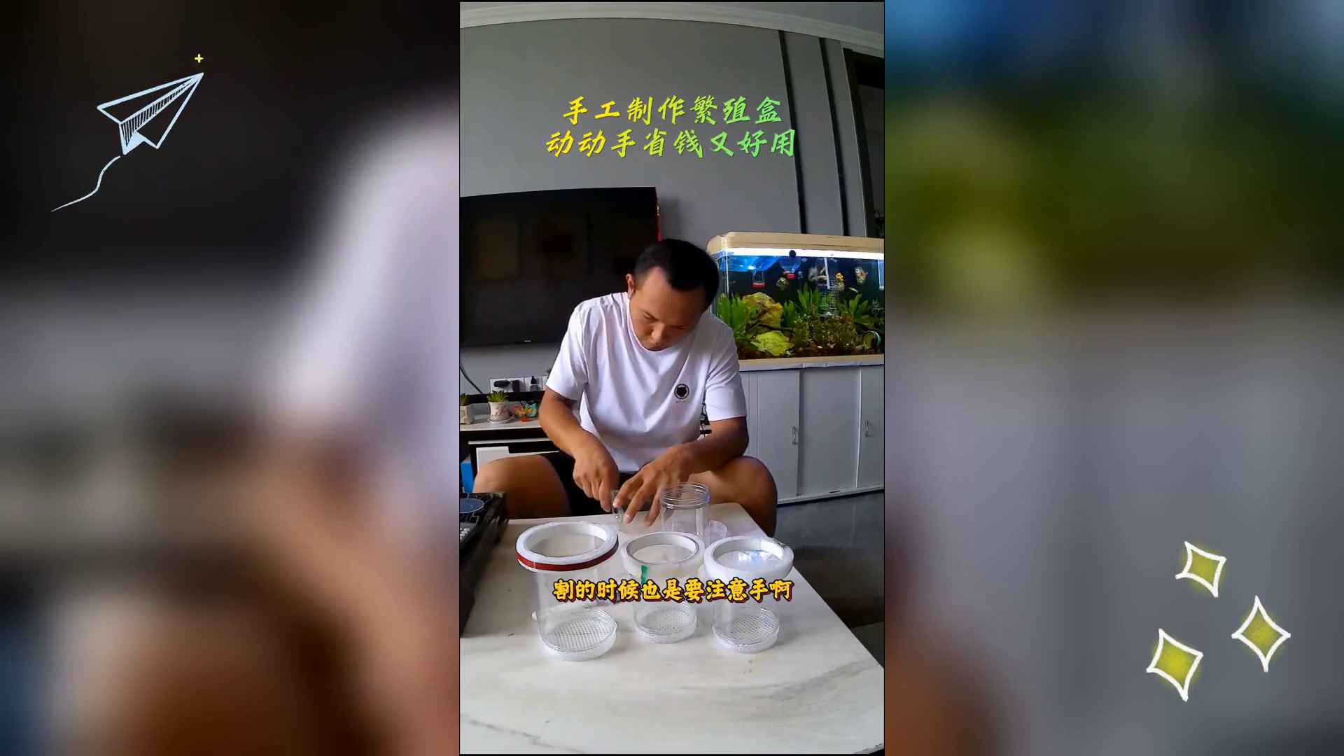 自制孔雀鱼繁殖隔离盒