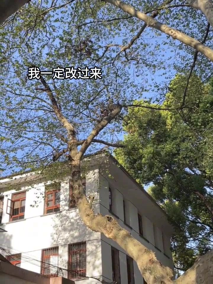飞丞太甜了,谁能不磕呢
