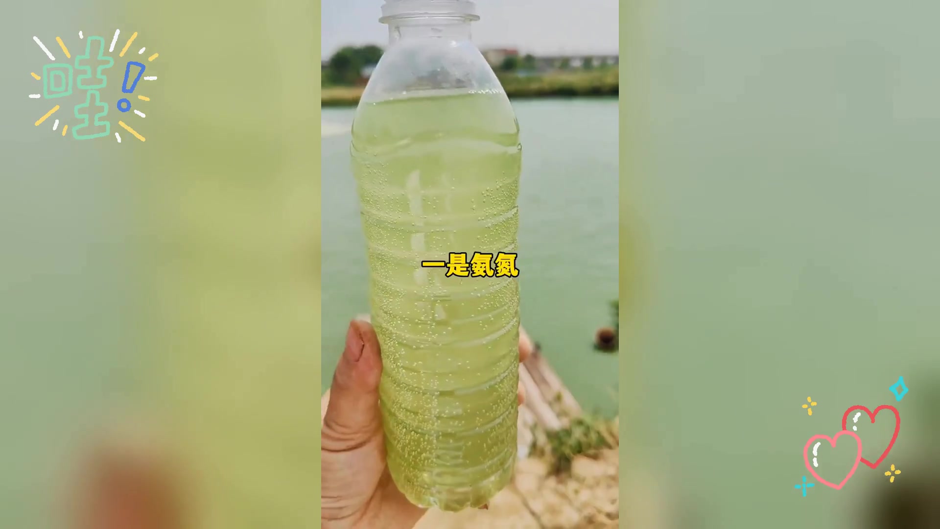 罗氏沼虾高密度,工厂化及小棚冬棚,养殖技术探讨