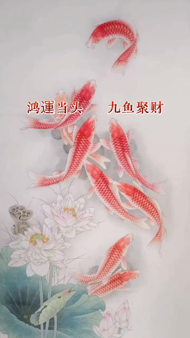 九鱼聚财,鸿运当头