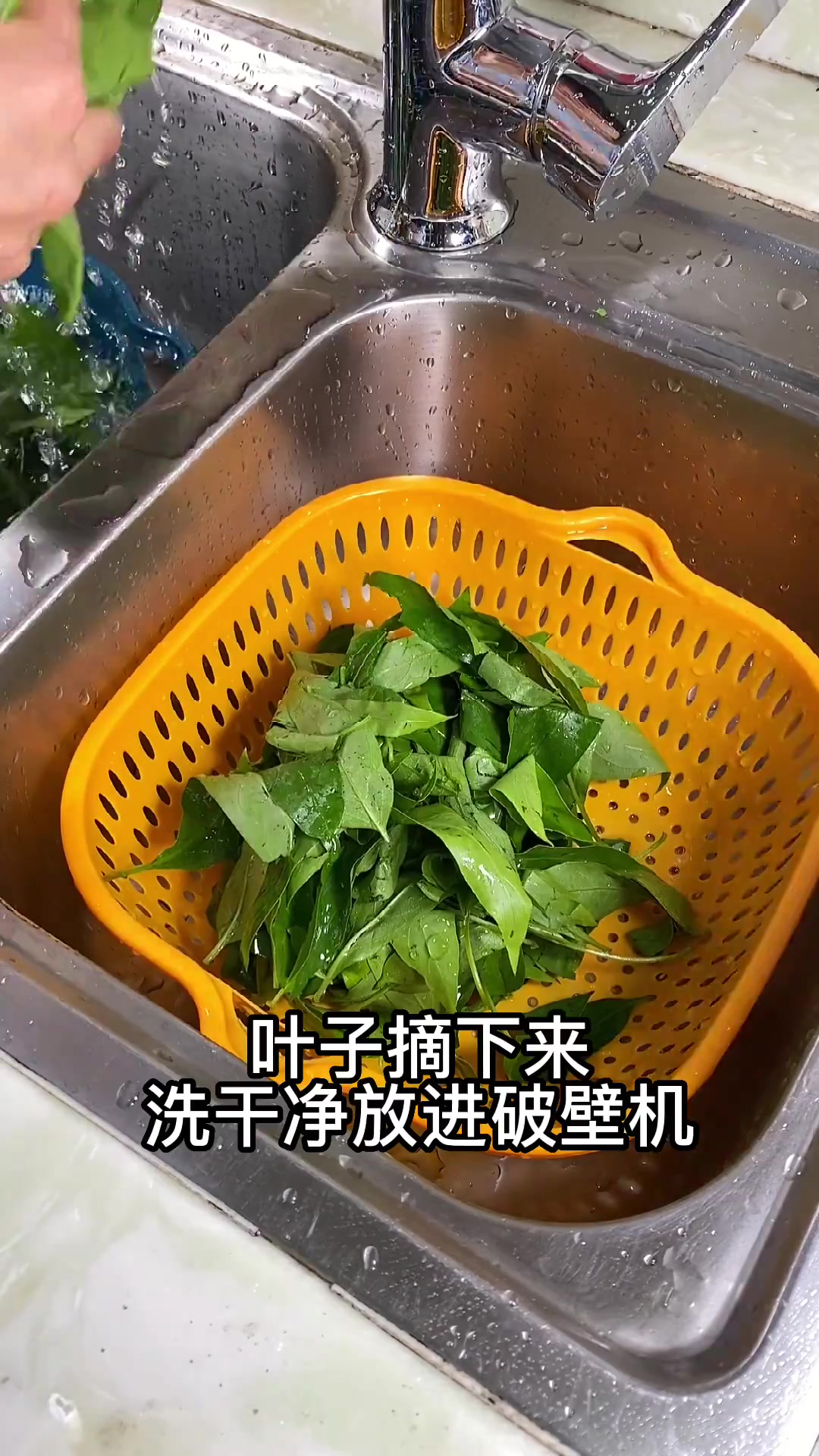 自带特殊香味的鸡屎藤,用来做籺煲糖水