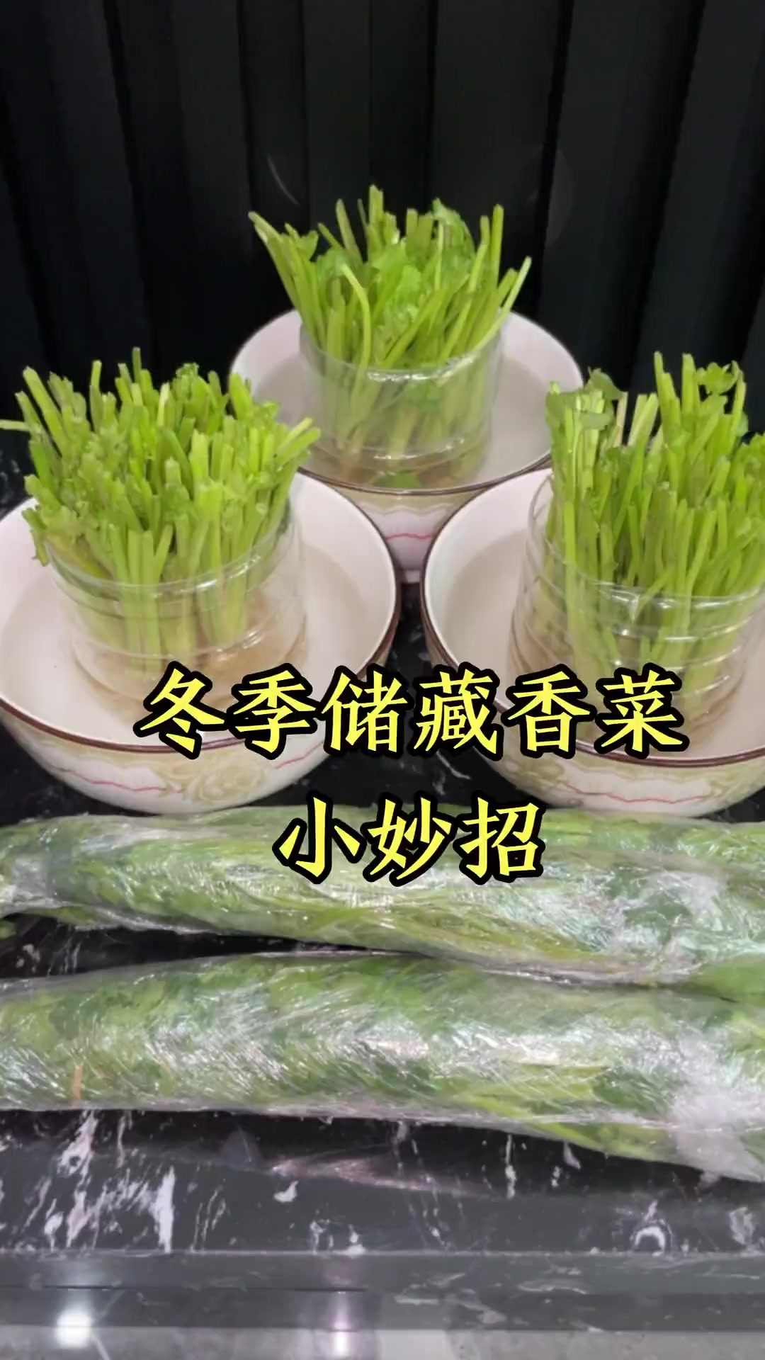 水培蔬菜 水培香菜