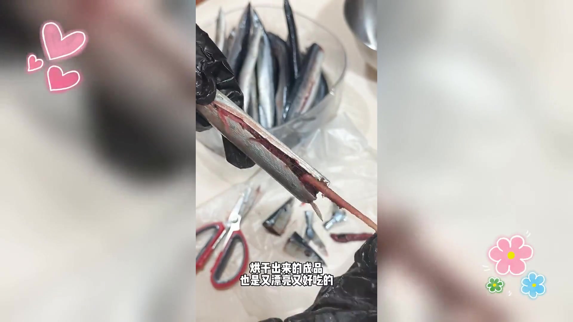 烘干秋刀鱼宠物零食,健康解馋新选择