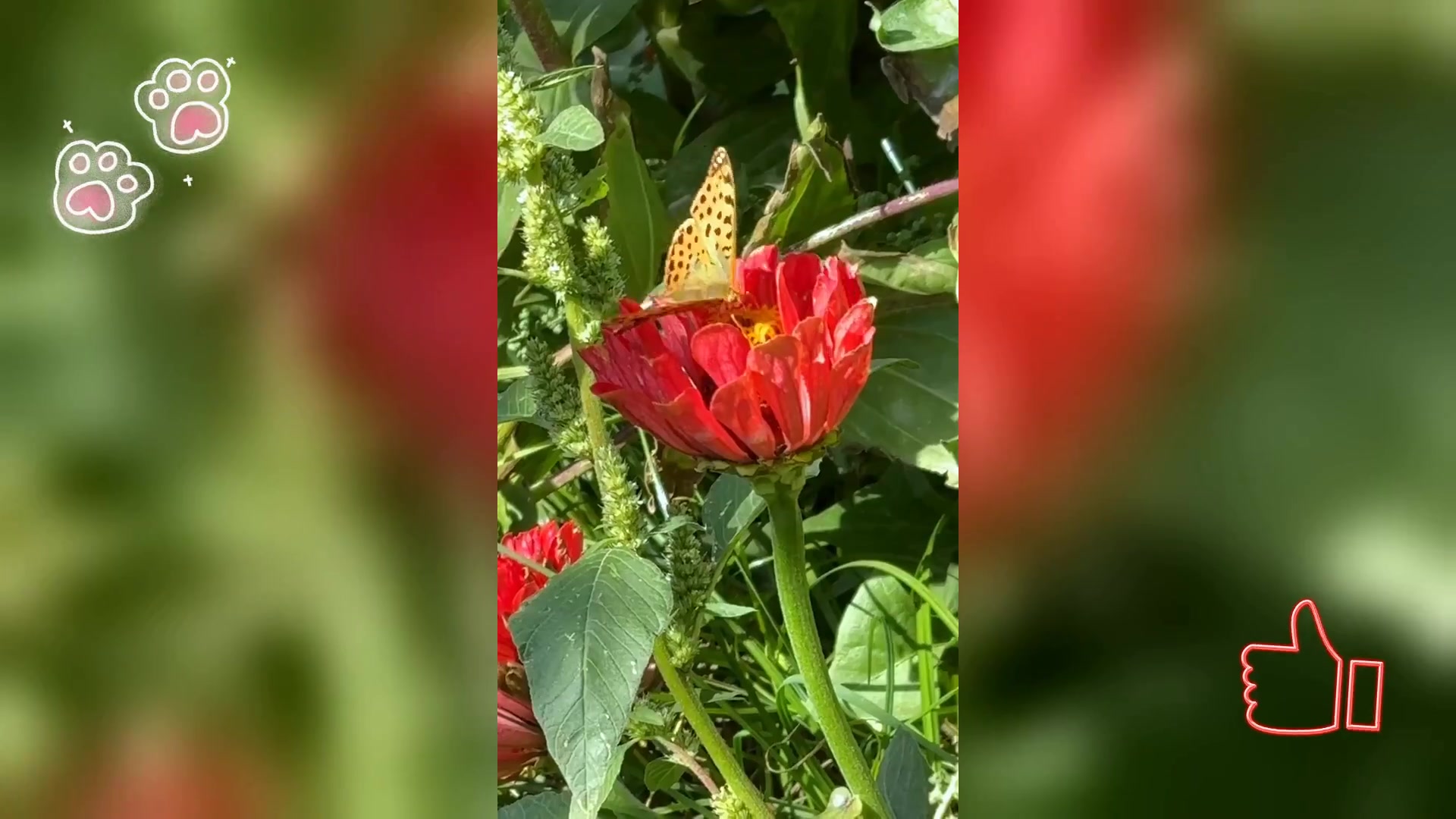 美味拌面,解饿又满足味蕾