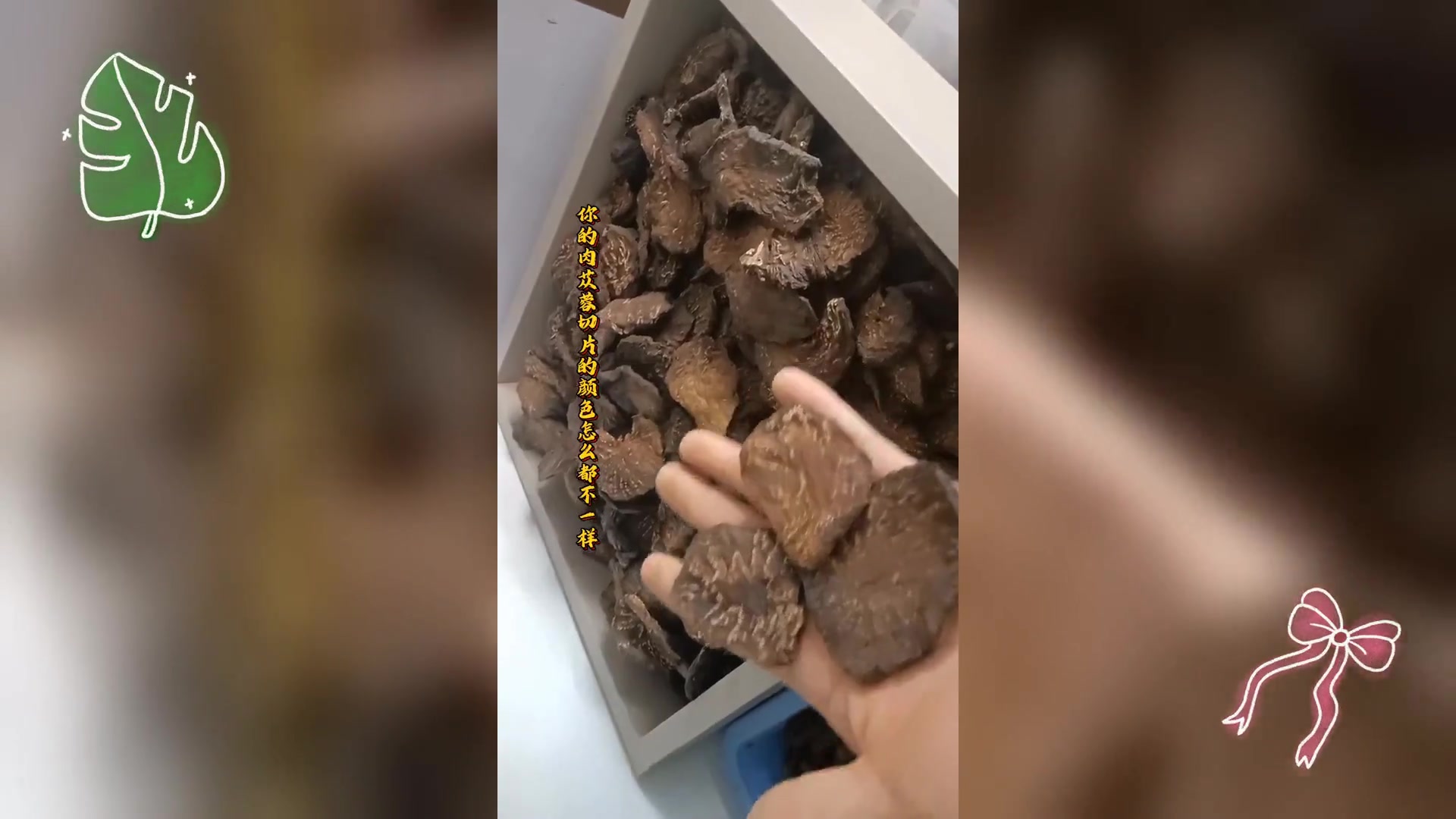 肉苁蓉切片色泽,差异的原因