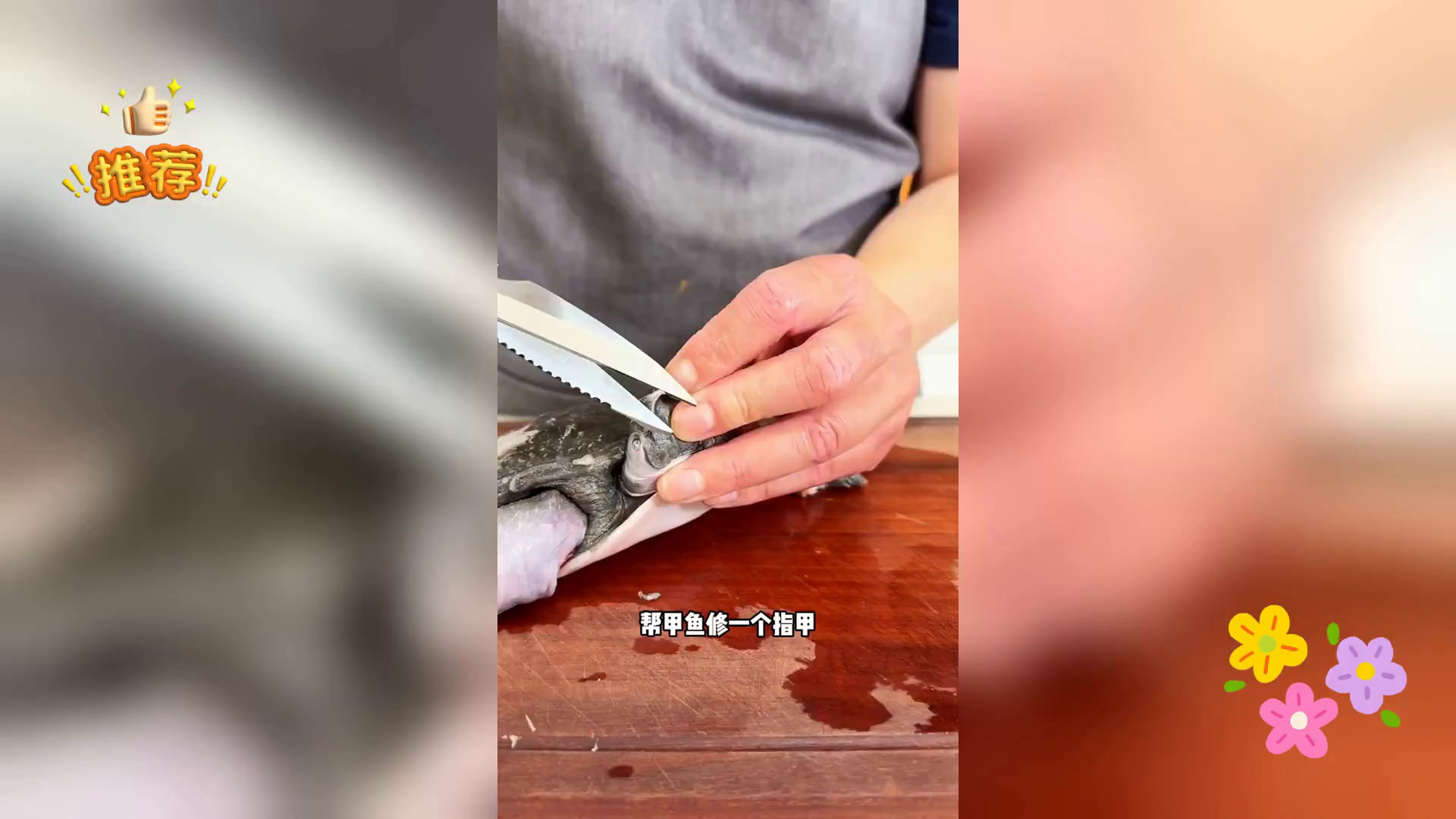 家常甲鱼烧鸡,大厨秘制,鲜美绝伦