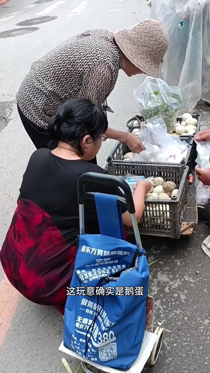 东北早市防骗指南!东北早市土豆哥教你怎么挑选鹅蛋,避免买到假鹅蛋!