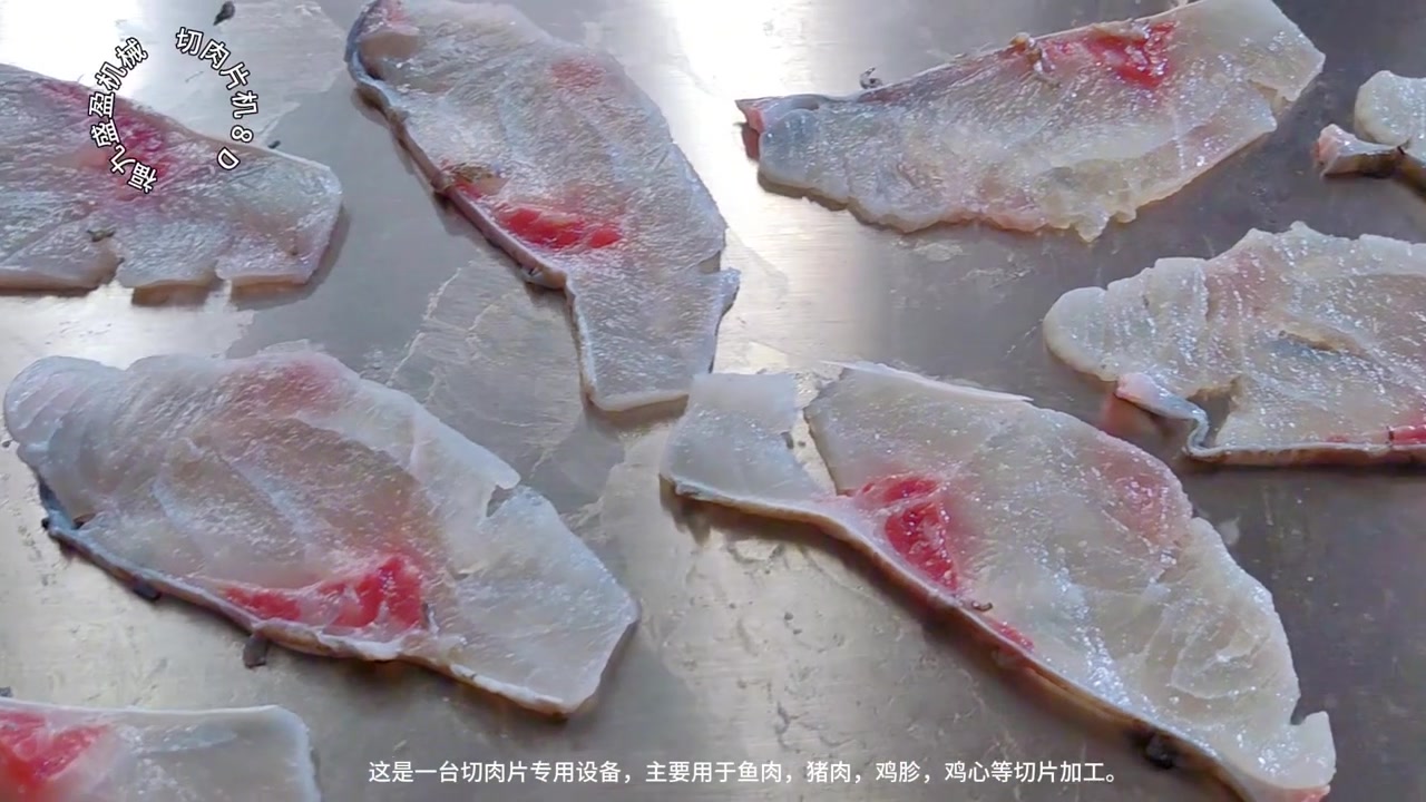 鱼肉切片机的应用功能和特点演示