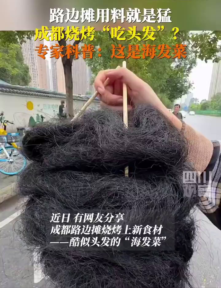 近日,四川成都。像头发一样的菜你敢吃吗?海发菜长得与头发无异,吃起来却跟紫菜差不多,你以为