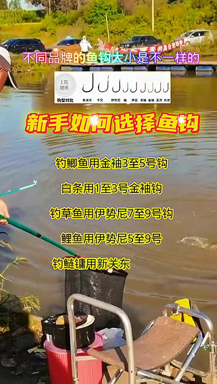 新手选鱼钩,这样搭配才合适!