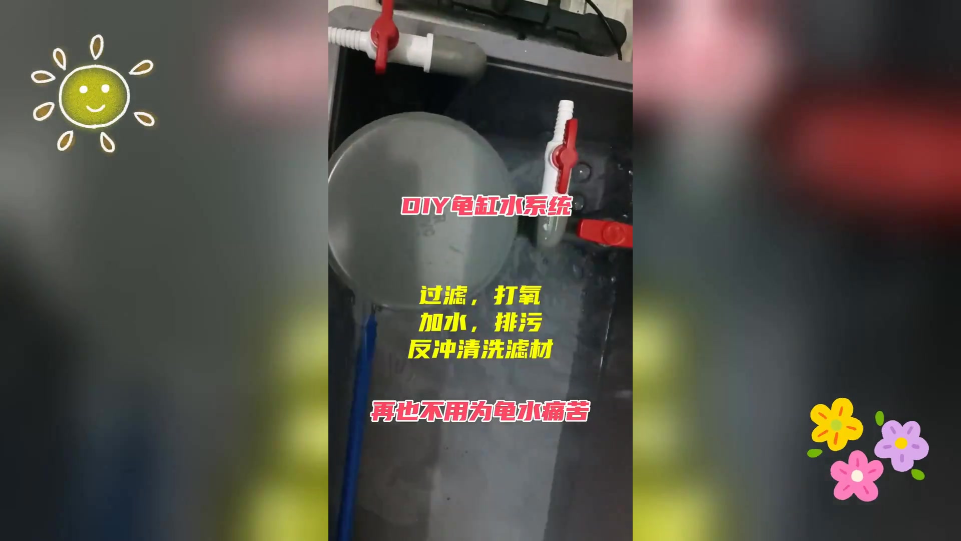 自制龟缸水循环系统