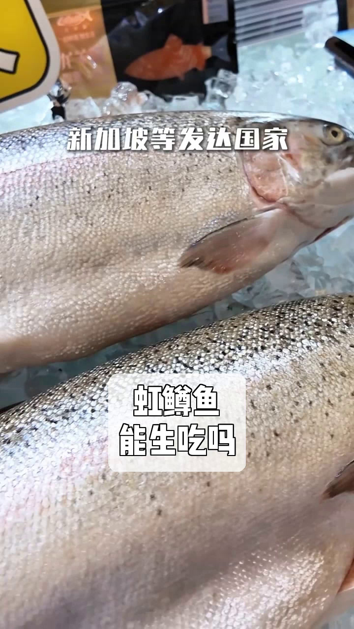 虹鳟鱼,能生吃吗
