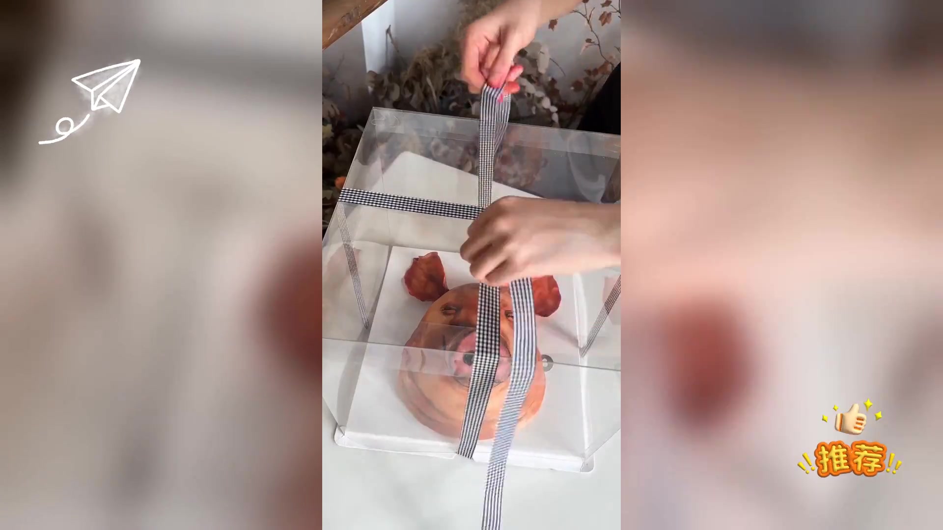 铁铁生日惊喜: 定制猪头蛋糕,难忘一瞬