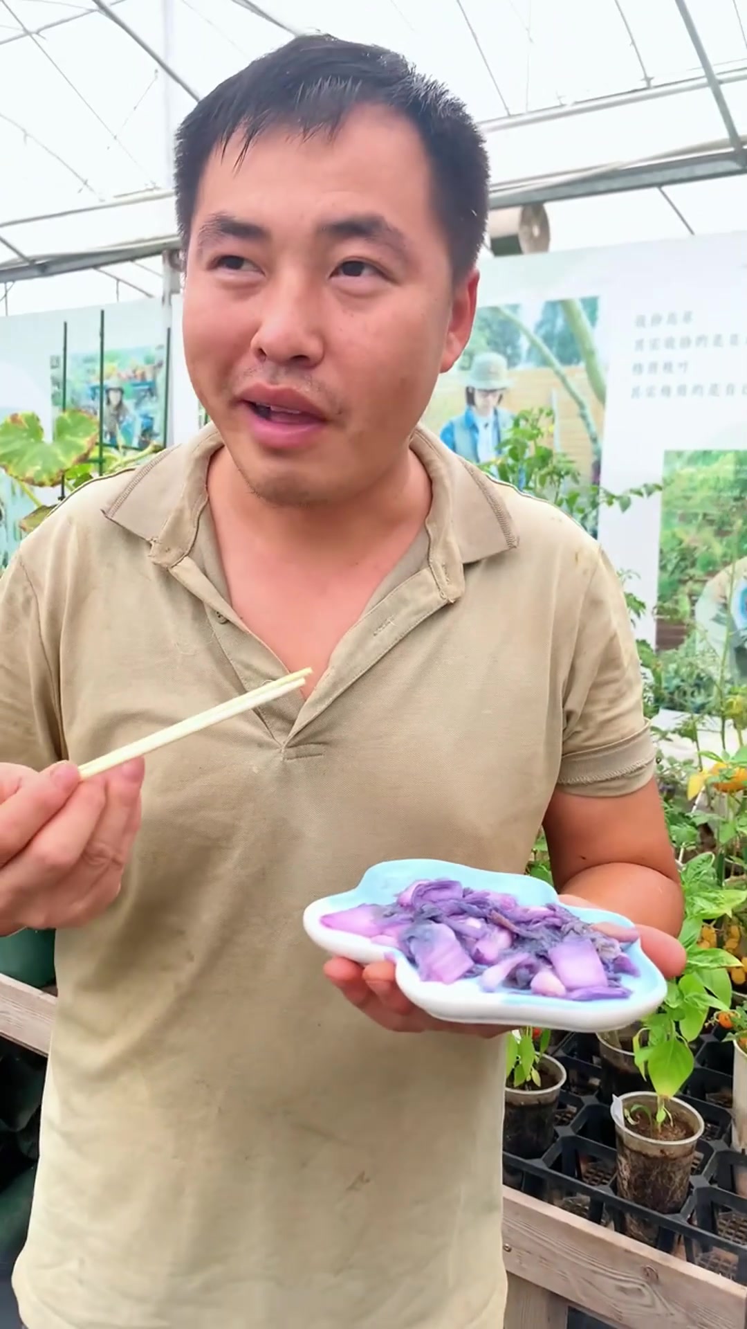 你没吃过的紫色白菜,维生素含量比普通白菜高