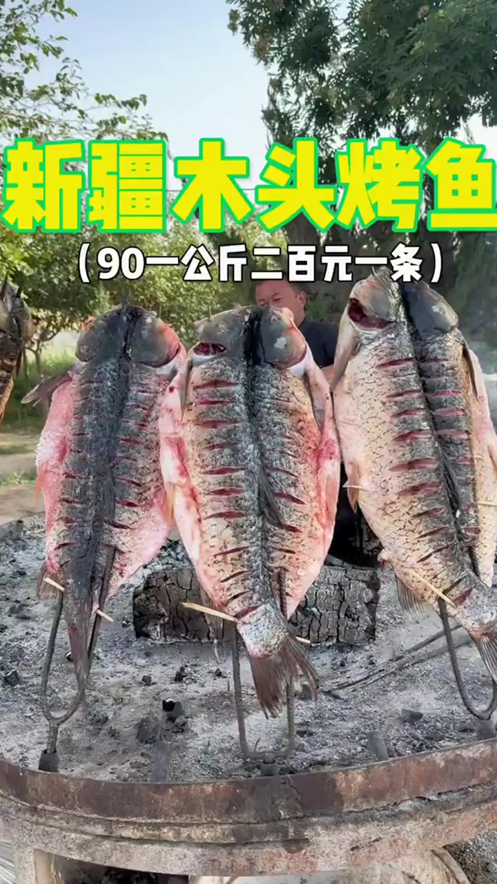 新疆河边的木头烤鱼九十块钱一公斤居然还不去鱼鳃一条烤鱼花了259你们感觉值不值