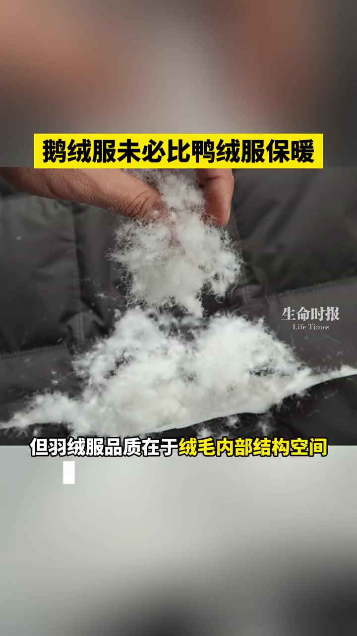 又到了穿羽绒服的季节,到底什么样的羽绒服更保暖?羽绒服中填充物常见有鹅绒、鹅绒,其中鹅绒具