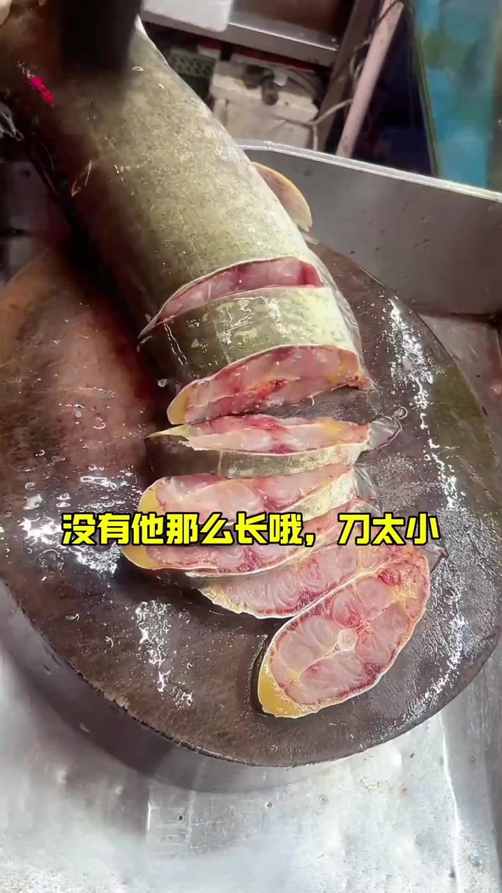 准备收摊了,啊叔盘了一条超大水库鲶鱼,今天完美收工