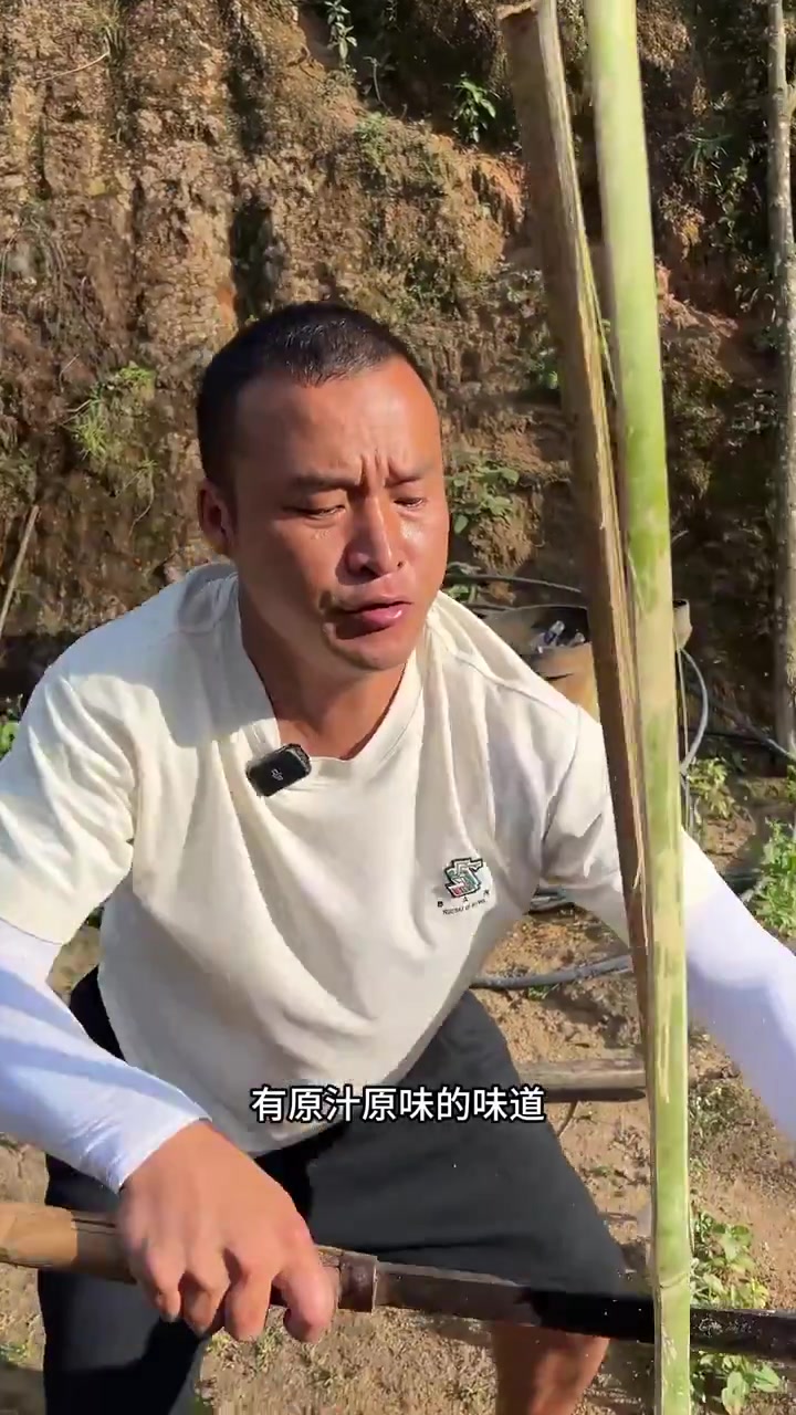 凉拌木瓜(麻桑坡。)