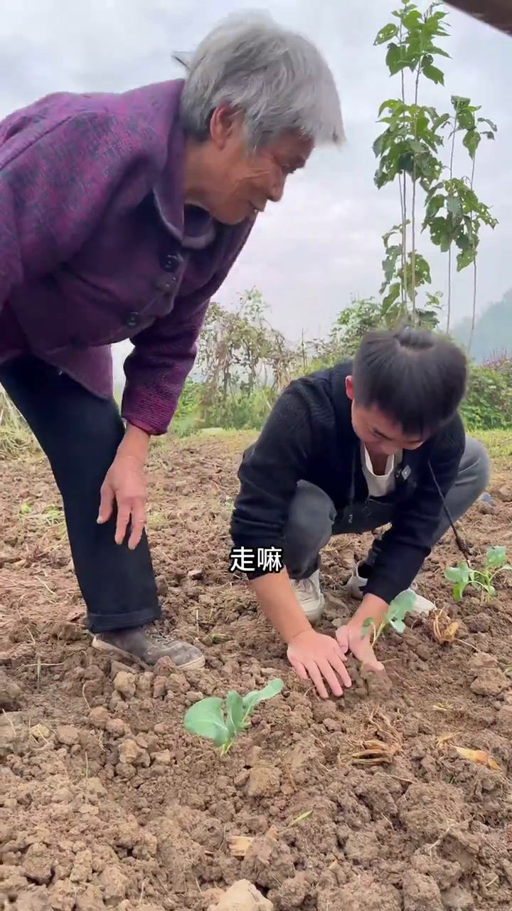 红烧肉箜饭,搭配上蒸蛋,这样的农村生活,满满的儿时回忆!