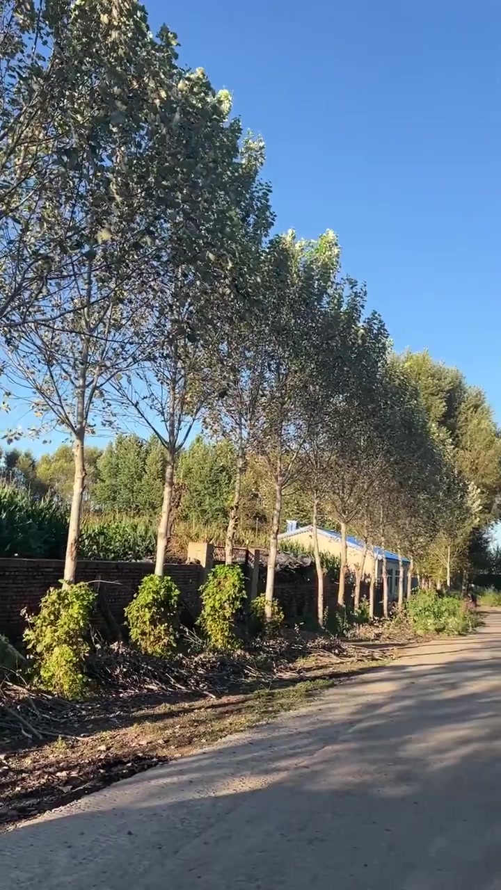 700公里外的野生江鱼,随便一顿都能香迷糊了