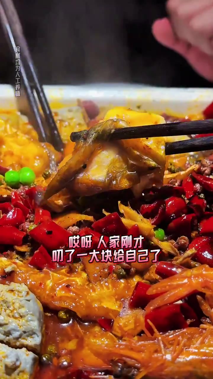 肆佰度 好吃的吊炉烤鱼,还吃到了盖被模式,真的又新颖又好吃