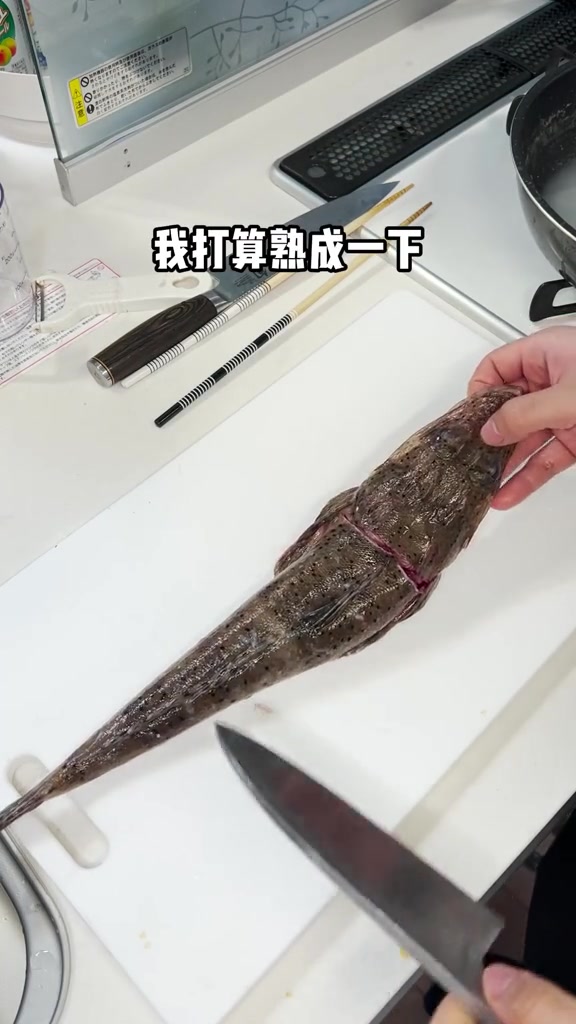 绝对不要学我!牛尾鱼
