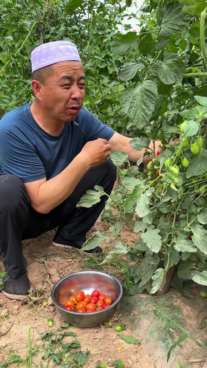 凉拌素肉就是豆制品的一种,涮火锅,炒菜,伴着吃咋吃都好吃