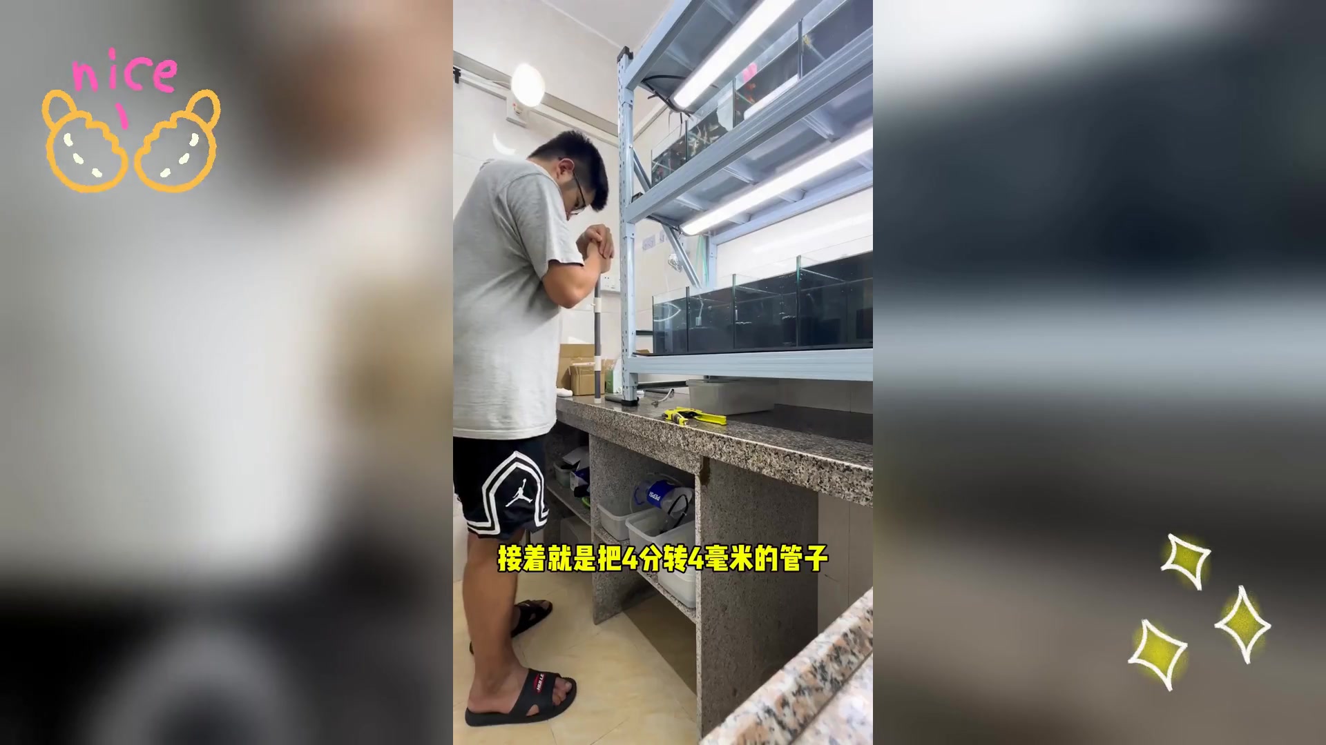 孔雀鱼组缸,气路自制教程