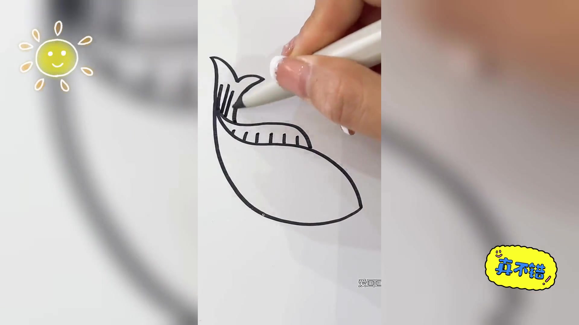 鲤鱼简易画法
