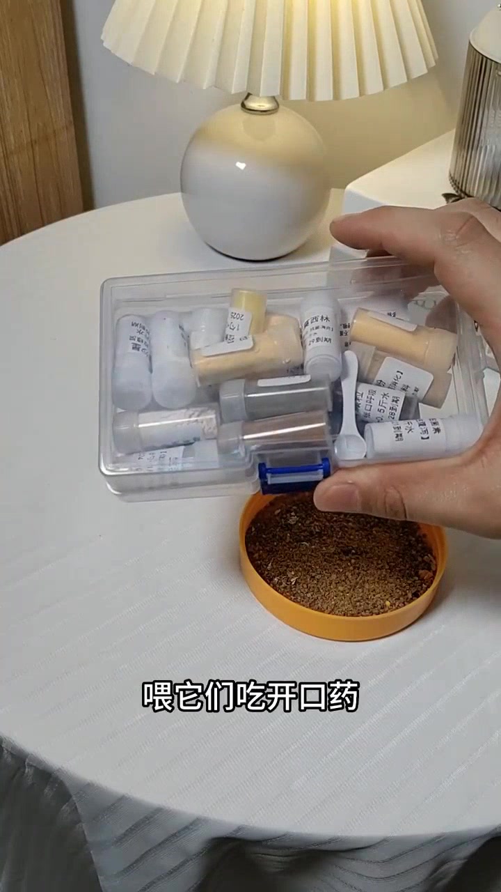 刚出生的芦丁鸡,前 3 天要喂开口药