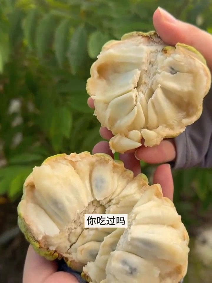 原来释迦果冰淇淋这么好吃!