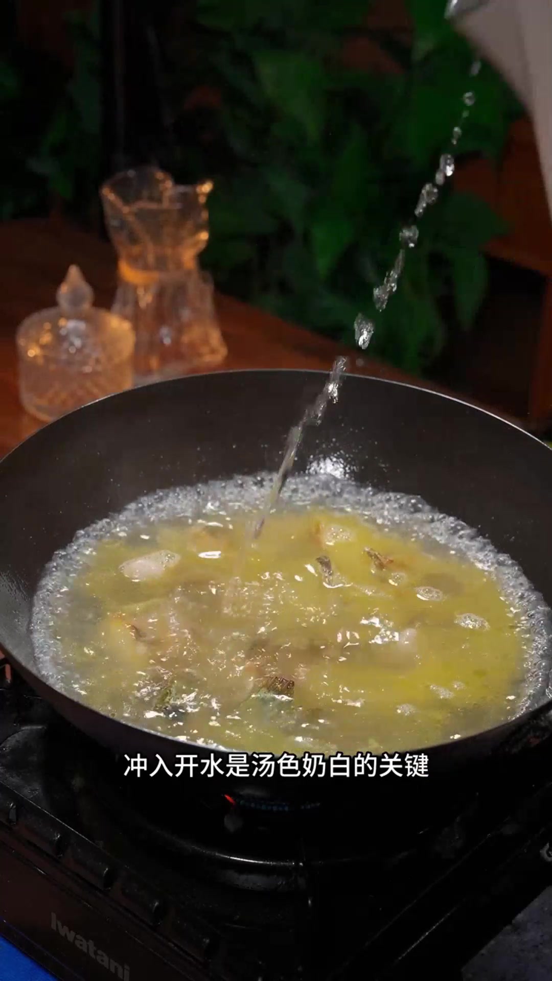 鲜美无比的昂刺鱼豆腐汤