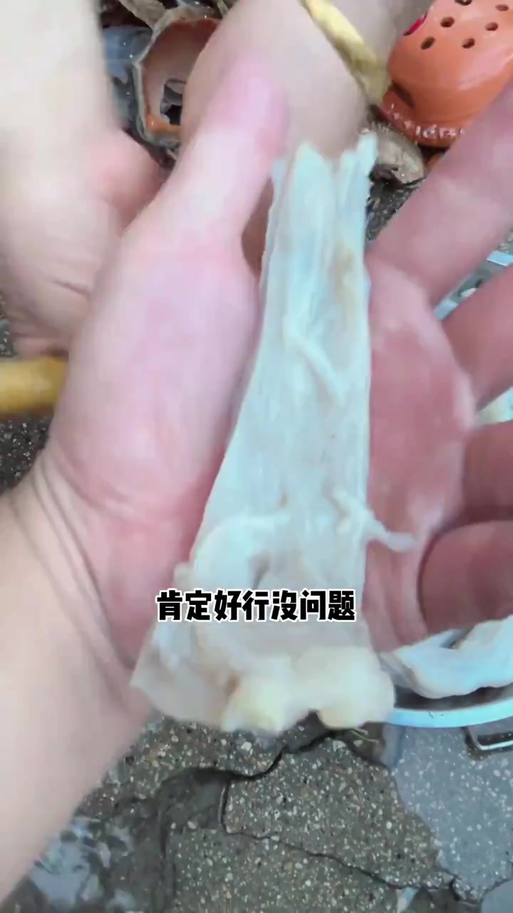 八仙过海大包子,一啦啦de汤,真险
