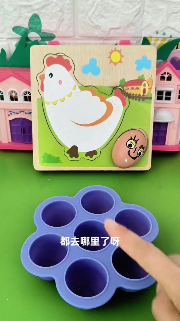 小鸡?宝宝?不见了!