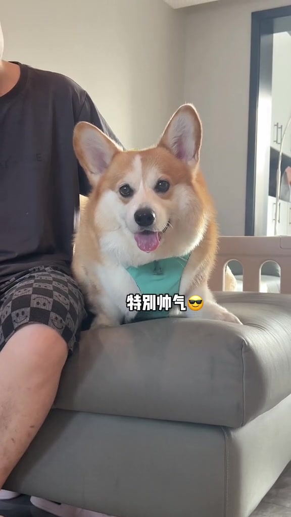 属于我们一家四口的照片 终于拍啦～