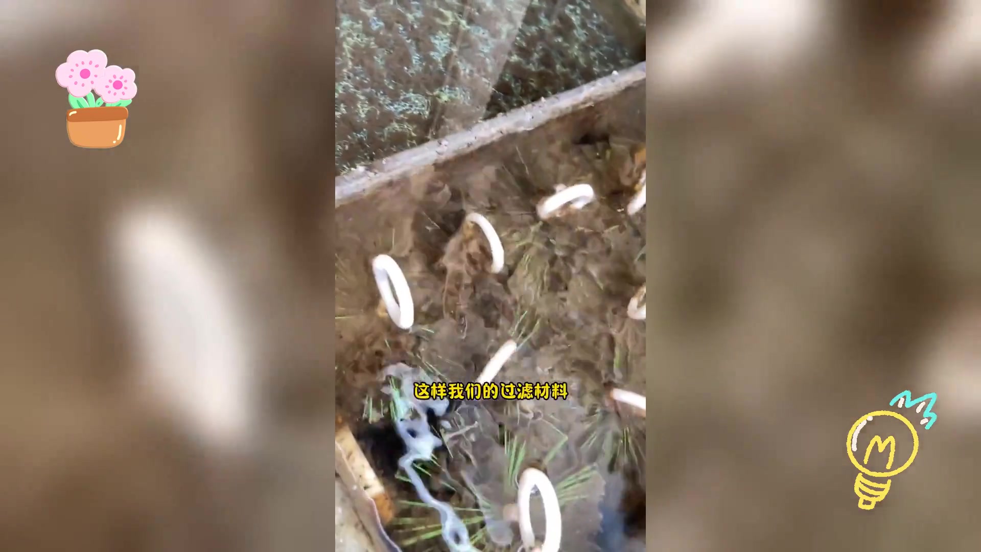 鱼池水循环过滤系统