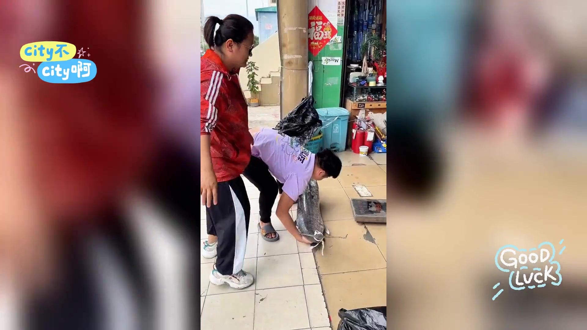 三亚大马鲛鱼售价多少
