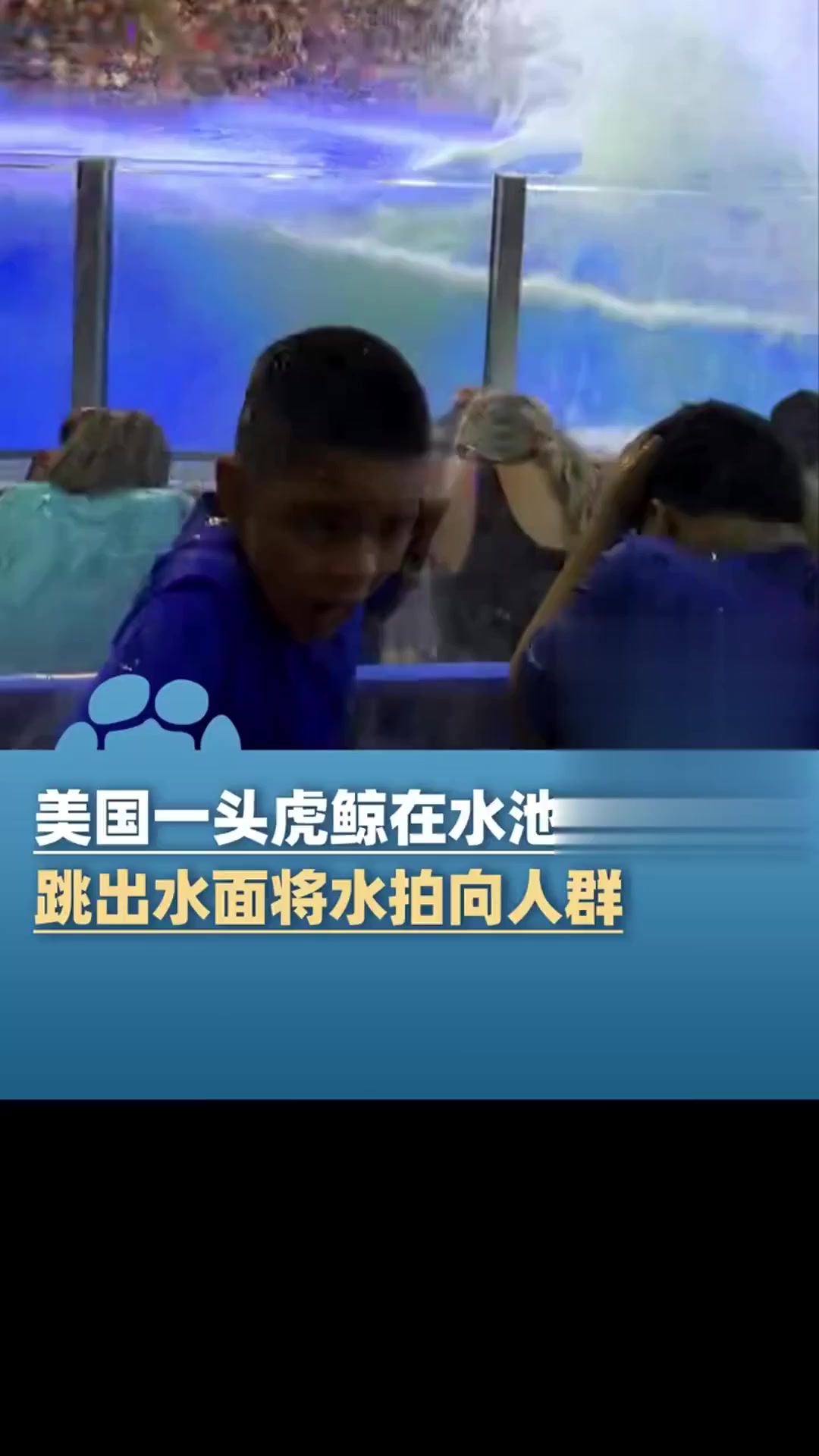 美国海洋公园虎鲸在水池中排泄后,跳出水面将水拍向人群