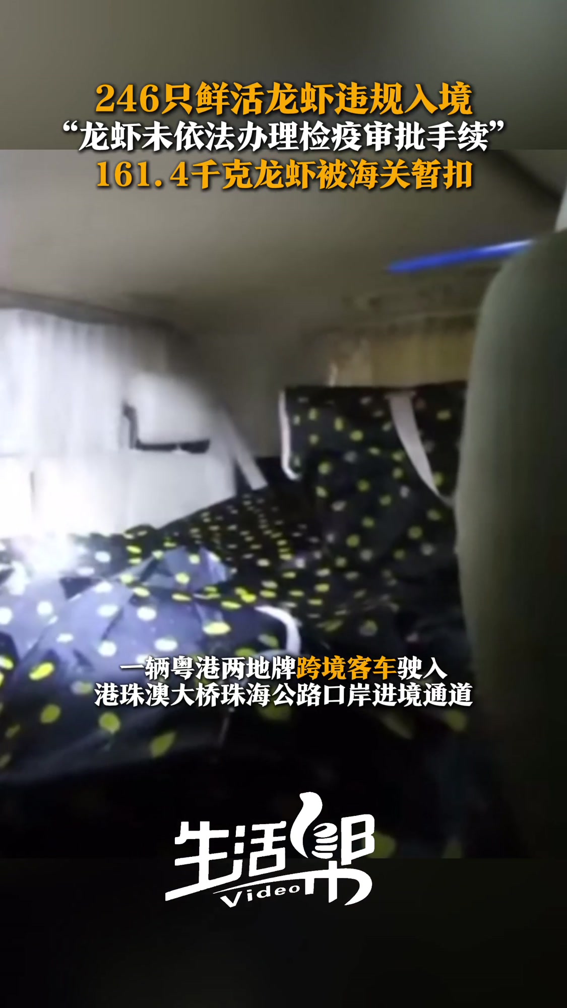 246只鲜活龙虾违规入境 “龙虾未依法办理检疫审批手续” 161.4千克龙虾被海关暂扣