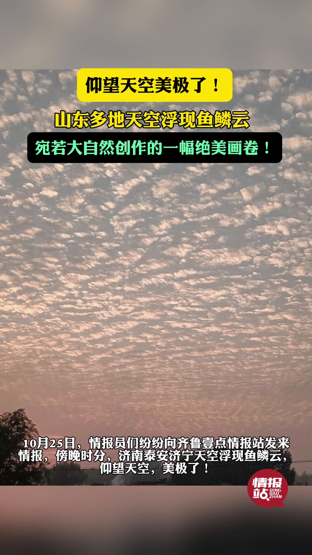 天气情报站|美轮美奂!山东多地傍晚浮现鱼鳞云,仰望天空美极了