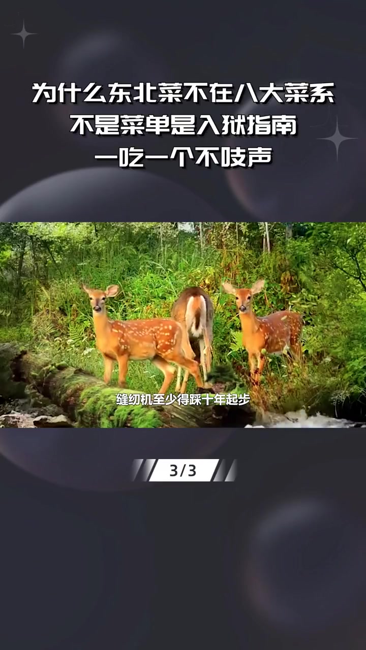 为什么东北菜不在八大菜系,不是菜单是入狱指南,一吃一个不吱声