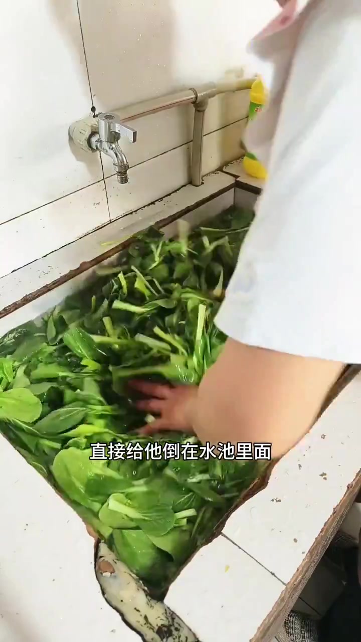 《梅干菜蒸肉、青椒炒黄豆芽、炒青菜、西红柿鸡蛋汤》