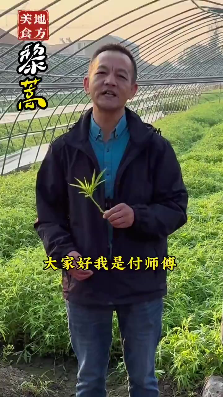 过几天我们打卡宝通寺让更多的人了解洪山菜苔文化?