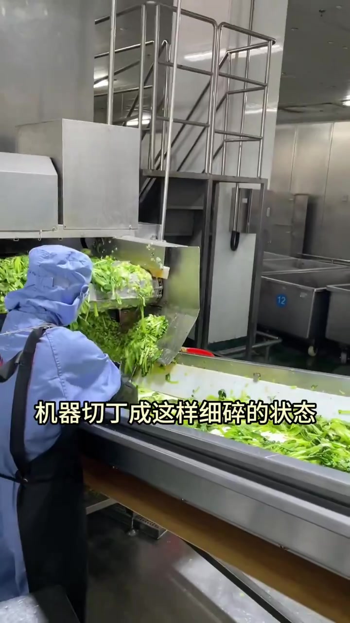 2块钱的馒头前半生竟然如此潇洒 探秘巴比馒头工厂生产线
